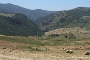 Vallée du Sosio, Palazzo Adriano