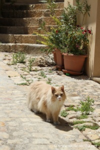 Centre historique de Geraci Siculo