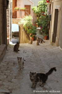 Centre historique de Geraci Siculo