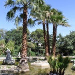 Fontaine, jardin à l'anglaise (parc Mattarella), Palerme