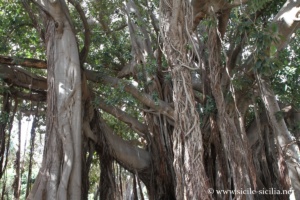 Jardin Garibaldi, Piazza Marina, Palerme
