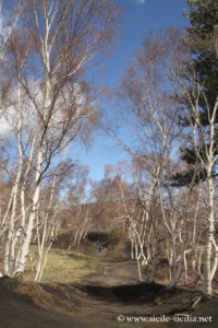 Mont Sartorius, Mont Frumento, Etna