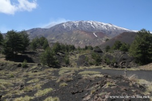 Mont Sartorius, Mont Frumento, Etna