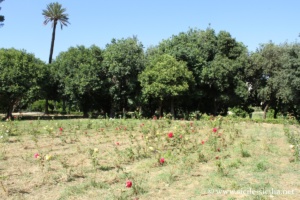 Parc de la Villa Trabia à Palerme