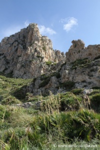 Relief de la réserve de Cofano