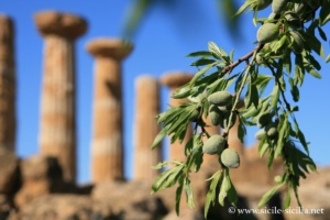 Temple d'Hercule, Vallée des Temples d'Agrigente