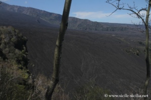 Valle del Bove, Monte Zoccolaro, Etna