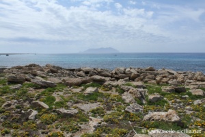 Côte nord de Favignana