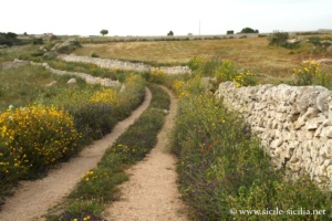 Environs de la Grotta delle Trabacche, Raguse