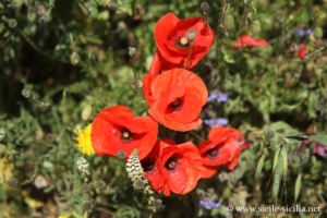 Grotta delle Trabacche, Raguse, Sicile