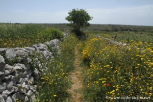 Grotta delle Trabacche, Raguse, Sicile