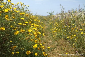 Grotta delle Trabacche, Raguse, Sicile