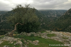 Vue sur le canyon Calcinara, Nécropole nord-ouest de Pantalica