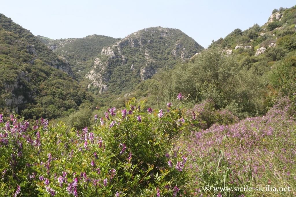 Descente de Cavetta vers Rivière Anapo, nécropole de Pantalica