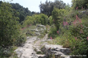 Côté nord, montée vers Cavetta, Pantalica