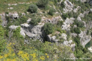 Nécropole de la Cavetta, Pantalica