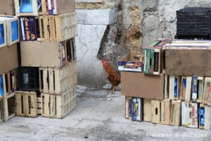 Quartier Vucciria à Palerme