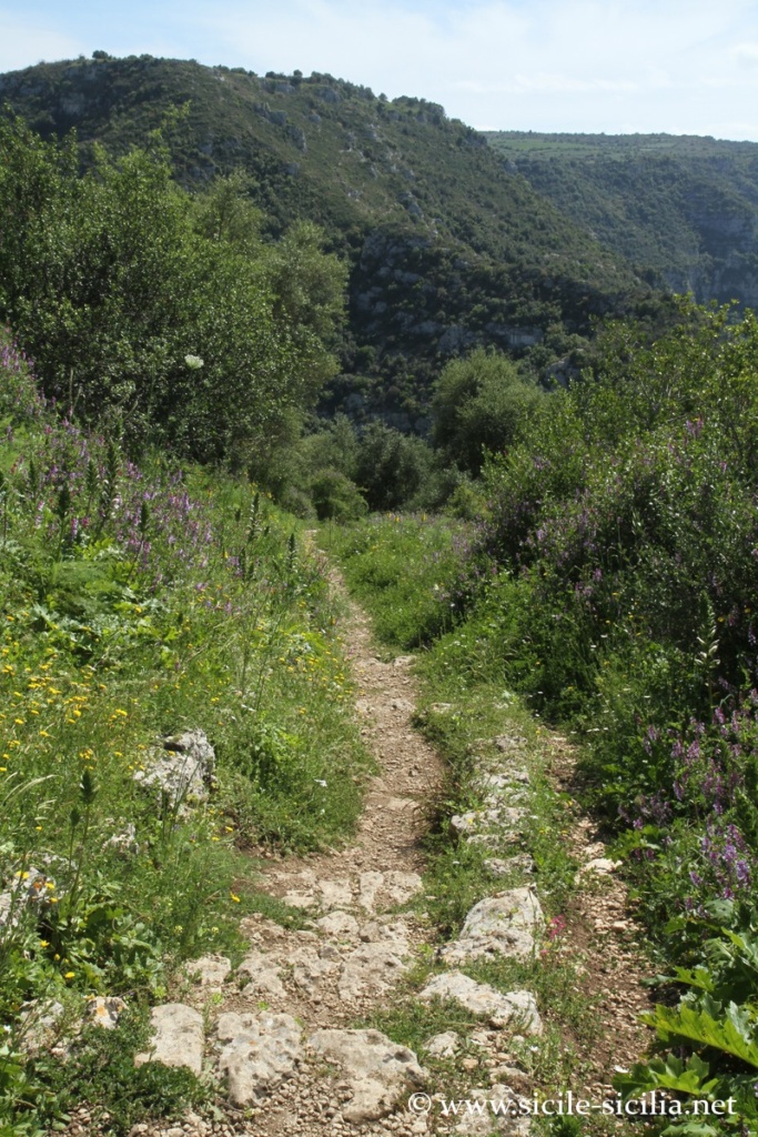Vers San Micidiario, côté sud, Pantalica