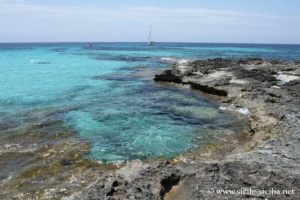 Scogliera Punta Fanfalo, Favignana