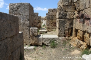 Acropole hors les murs, Sélinonte