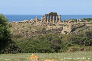 Vue sur l'Acropole, Sélinonte