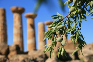 Foto del Tempio di Eracle di Agrigento