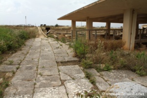 Pavement, aire sacrée de Lilibeo, Marsala