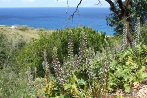Grotte de l'Uzzo, réserve du Zingaro