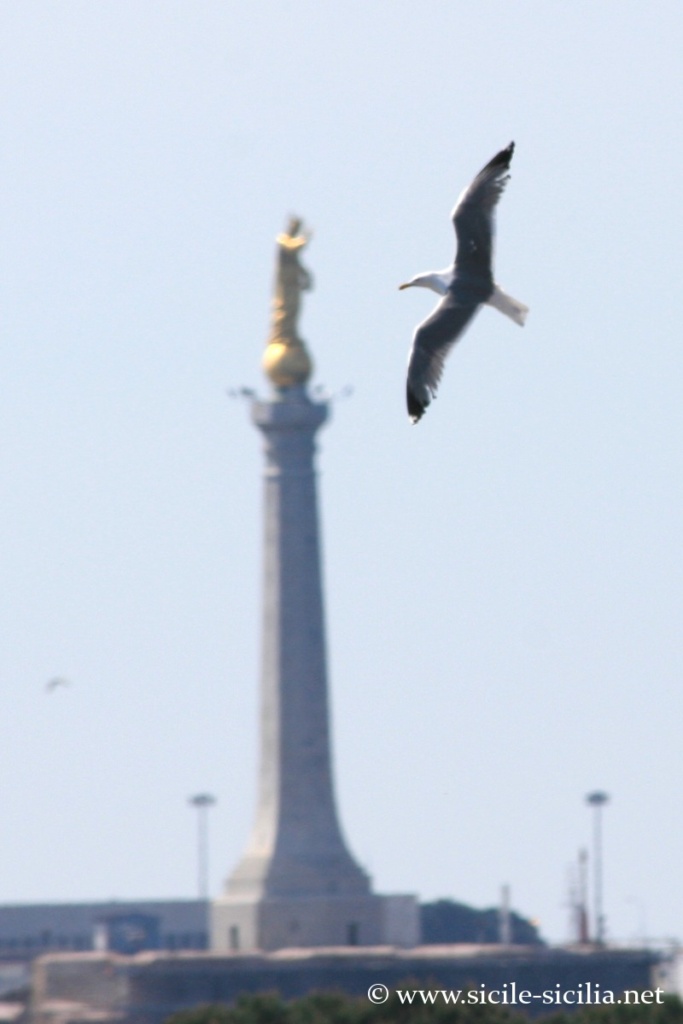 madonnina-del-porto-port-de-messine-sicile_6870