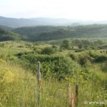 Monts Nebrodi (Nébrodes)