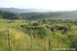 Monts Nebrodi (Nébrodes)