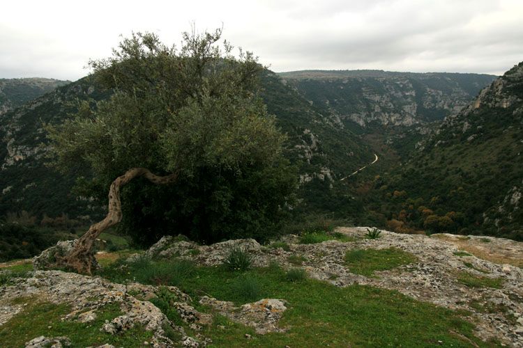 Monti Iblei e valle dell’Anapo