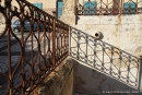 noto_709