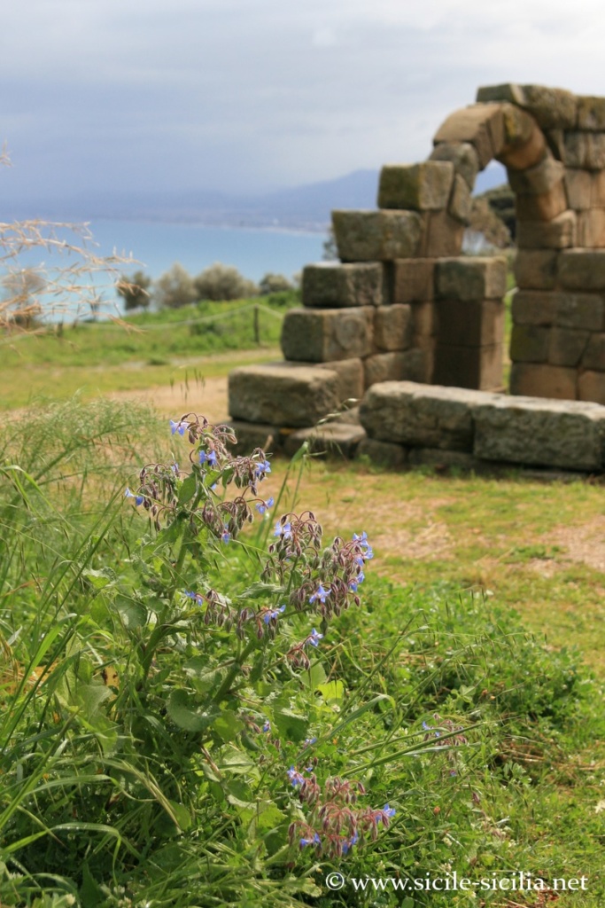 Théâtre grec de Tyndaris