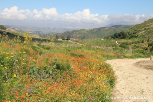 Parc archéologique de Ségeste