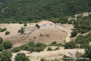 Parc naturel des Madonies en Sicile