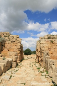Porte nord, acropole de Sélinonte