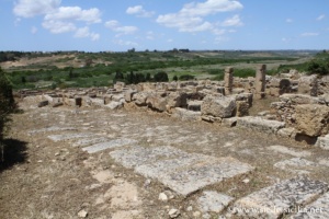 Quartiers de l'acropole, Sélinonte