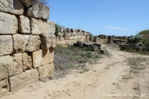 Murs et quartiers de l'acropole, Sélinonte