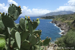 Réserve naturelle du Zingaro, Sicile