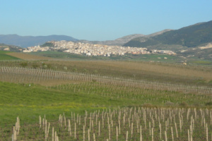 Sambuca di Sicilia