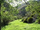 Segesta