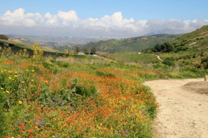 Ségeste en Sicile