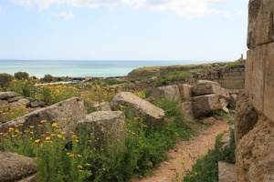 Acropoli di Selinunte