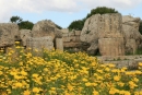 Sélinonte en Sicile