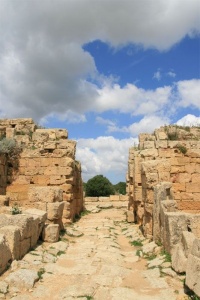 Selinunte. porta nord