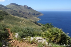 Sentier mi-côte entre Cala dell'Uzzo et Pizzo del Corvo, réserve naturelle du Zingaro
