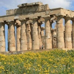 Sélinonte : site archéologique grec
