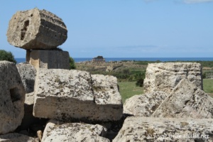 Temple d'Athéna (F), Sélinonte