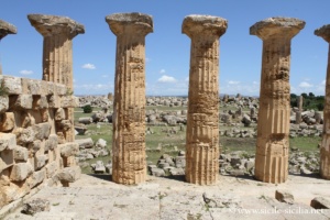 Temple d'Héra (E), Sélinonte